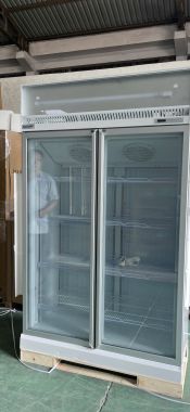 LUX-2DDF: TỦ ĐÔNG 2 CÁNH KÍNH LUXURY