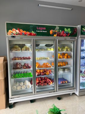 3D/D2F1C-SM: TỦ TRƯNG BÀY NỬA ĐÔNG NỬA MÁT 3 CÁNH KÍNH